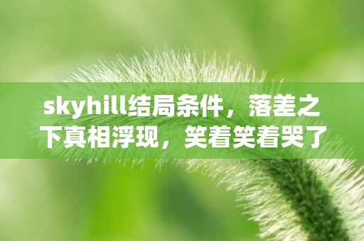 skyhill结局条件,落差之下真相浮现,笑着笑着哭了,我竟还在等Skyhill的奇迹 skyhill结局条件,落差之下真相浮现,笑着笑着哭了,我竟还在等Skyhill的奇迹