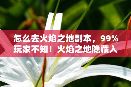 怎么去火焰之地副本,99%玩家不知!火焰之地隐藏入口竟藏这3个致命陷阱? 怎么去火焰之地副本,99%玩家不知!火焰之地隐藏入口竟藏这3个致命陷阱?