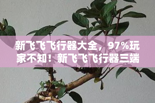 新飞飞飞行器大全,97%玩家不知!新飞飞飞行器三端操控竟差出银河系? 新飞飞飞行器大全,97%玩家不知!新飞飞飞行器三端操控竟差出银河系?