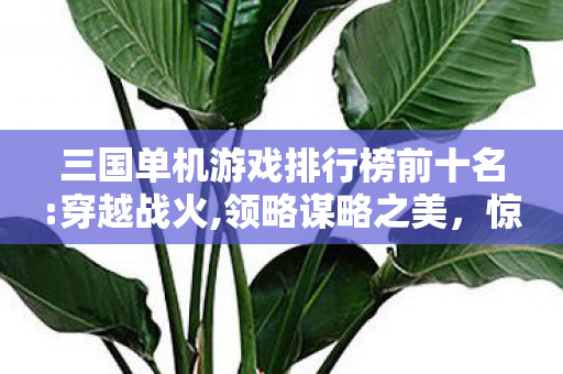 三国单机游戏排行榜前十名:穿越战火,领略谋略之美,惊爆!三国单机游戏TOP10背后,竟藏着这些不为人知的秘密! 三国单机游戏排行榜前十名:穿越战火,领略谋略之美,惊爆!三国单机游戏TOP10背后,竟藏着这些不为人知的秘密!