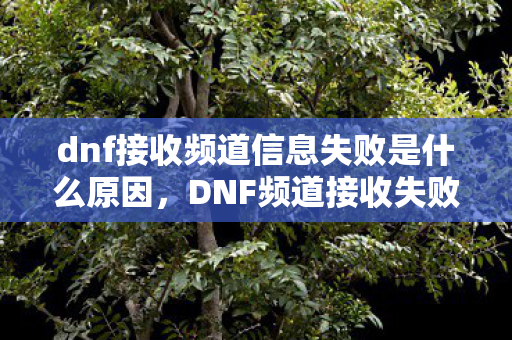 dnf接收频道信息失败是什么原因，DNF频道接收失败13次？蹊跷背后真相，让人后背发凉！