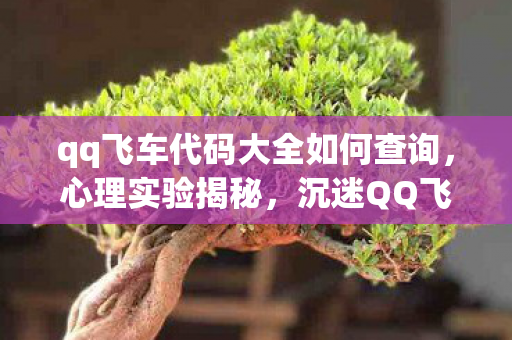 qq飞车代码大全如何查询，心理实验揭秘，沉迷QQ飞车代码的再来一局陷阱，细思极恐！