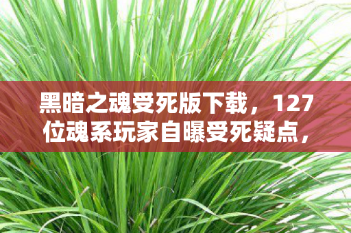 黑暗之魂受死版下载，127位魂系玩家自曝受死疑点，网吧忏悔室里我绷不住了！