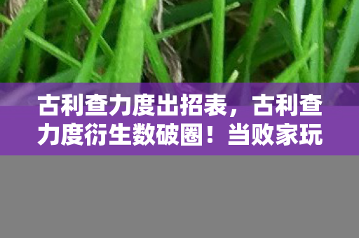 古利查力度出招表,古利查力度衍生数破圈!当败家玩家把游戏周边堆成遗物展 古利查力度出招表,古利查力度衍生数破圈!当败家玩家把游戏周边堆成遗物展