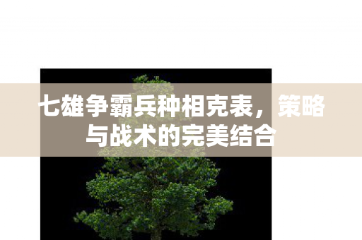 七雄争霸兵种相克表,策略与战术的完美结合 七雄争霸兵种相克表,策略与战术的完美结合