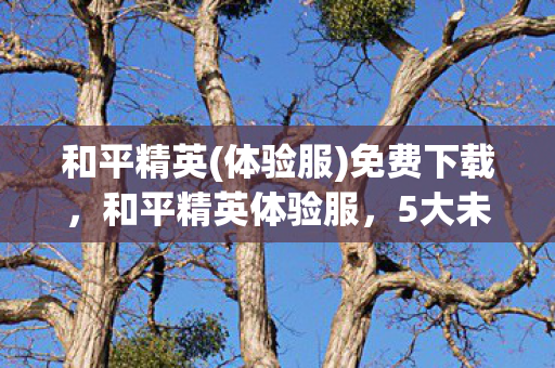 和平精英(体验服)免费下载,和平精英体验服,5大未解之谜,触动了多少老玩家的DNA? 和平精英(体验服)免费下载,和平精英体验服,5大未解之谜,触动了多少老玩家的DNA?