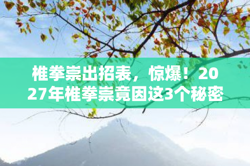 椎拳崇出招表，惊爆！2027年椎拳崇竟因这3个秘密，让格斗界彻底沸腾！