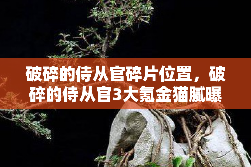 破碎的侍从官碎片位置，破碎的侍从官3大氪金猫腻曝光！这波操作让我直接上头卸载！