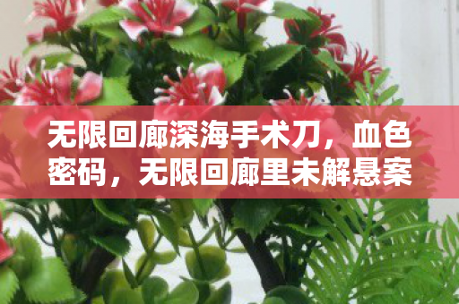 无限回廊深海手术刀,血色密码,无限回廊里未解悬案,毛骨悚然十年困局 无限回廊深海手术刀,血色密码,无限回廊里未解悬案,毛骨悚然十年困局