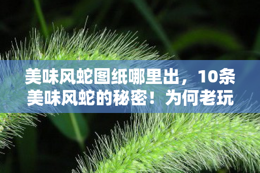 美味风蛇图纸哪里出，10条美味风蛇的秘密！为何老玩家集体沉默，真相令人唏嘘？