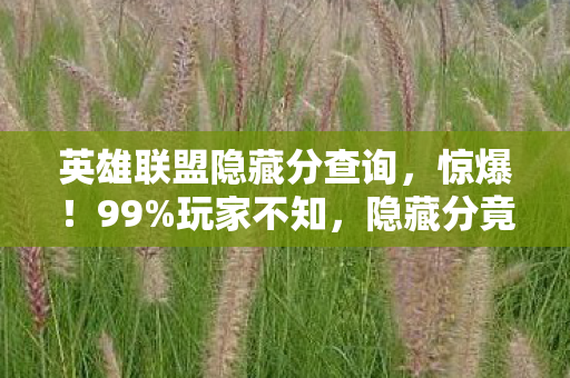 英雄联盟隐藏分查询,惊爆!99%玩家不知,隐藏分竟藏着2027年上分密码? 英雄联盟隐藏分查询,惊爆!99%玩家不知,隐藏分竟藏着2027年上分密码?