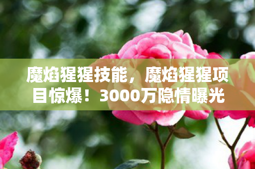 魔焰猩猩技能,魔焰猩猩项目惊爆!3000万隐情曝光,会议室吵翻天,结果吓一跳! 魔焰猩猩技能,魔焰猩猩项目惊爆!3000万隐情曝光,会议室吵翻天,结果吓一跳!