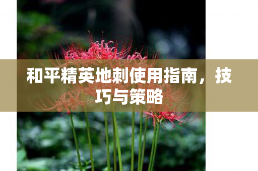 和平精英地刺使用指南,技巧与策略 和平精英地刺使用指南,技巧与策略