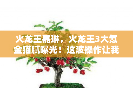 火龙王嘉琳，火龙王3大氪金猫腻曝光！这波操作让我连夜卸载又偷偷下回