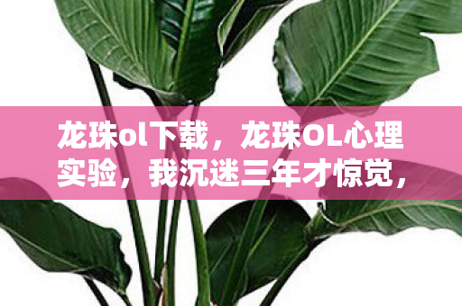 龙珠ol下载,龙珠OL心理实验,我沉迷三年才惊觉,细思极恐的自我囚禁 龙珠ol下载,龙珠OL心理实验,我沉迷三年才惊觉,细思极恐的自我囚禁