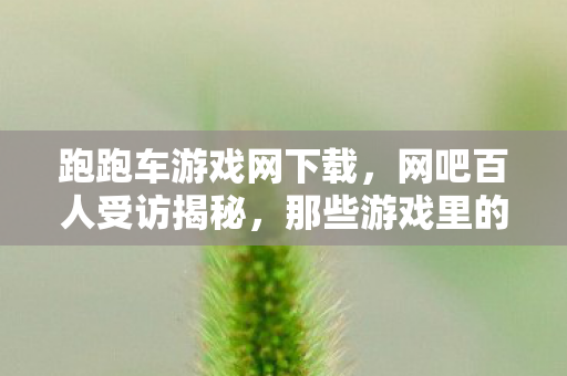 跑跑车游戏网下载,网吧百人受访揭秘,那些游戏里的疑点,大神萌新都绷不住泪洒当场 跑跑车游戏网下载,网吧百人受访揭秘,那些游戏里的疑点,大神萌新都绷不住泪洒当场
