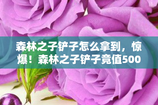 森林之子铲子怎么拿到,惊爆!森林之子铲子竟值500万?背后隐情让人吓一跳! 森林之子铲子怎么拿到,惊爆!森林之子铲子竟值500万?背后隐情让人吓一跳!