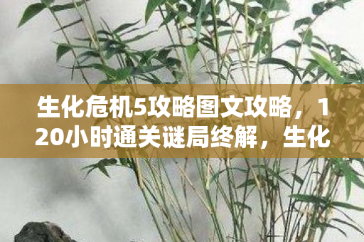 生化危机5攻略图文攻略,120小时通关谜局终解,生化5关服夜泪目,这次真的要说再见了 生化危机5攻略图文攻略,120小时通关谜局终解,生化5关服夜泪目,这次真的要说再见了
