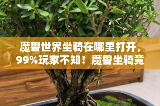 魔兽世界坐骑在哪里打开,99%玩家不知!魔兽坐骑竟藏3大逆天机制,高手都在偷偷用! 魔兽世界坐骑在哪里打开,99%玩家不知!魔兽坐骑竟藏3大逆天机制,高手都在偷偷用!