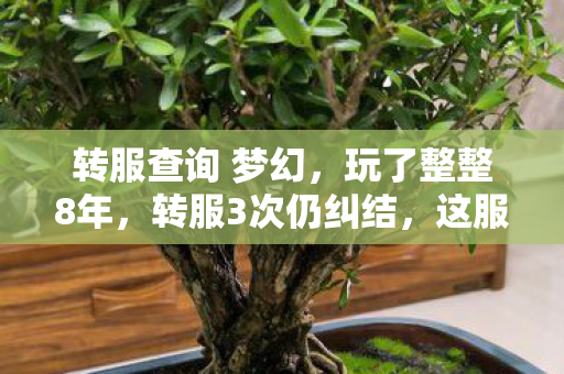 转服查询 梦幻,玩了整整8年,转服3次仍纠结,这服务器我该继续坚守还是彻底逃离? 转服查询 梦幻,玩了整整8年,转服3次仍纠结,这服务器我该继续坚守还是彻底逃离?