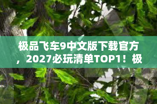 极品飞车9中文版下载官方，2027必玩清单TOP1！极品飞车9中文版沉浸体验，这3个细节让我彻夜难眠