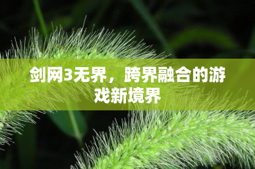 剑网3无界,跨界融合的游戏新境界 剑网3无界,跨界融合的游戏新境界