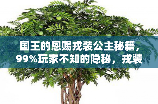 国王的恩赐戎装公主秘籍,99%玩家不知的隐秘,戎装公主的王冠下,藏着多少扎心真相? 国王的恩赐戎装公主秘籍,99%玩家不知的隐秘,戎装公主的王冠下,藏着多少扎心真相?