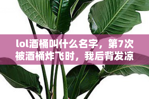 lol酒桶叫什么名字,第7次被酒桶炸飞时,我后背发凉,这蹊跷的机制竟藏了十年? lol酒桶叫什么名字,第7次被酒桶炸飞时,我后背发凉,这蹊跷的机制竟藏了十年?