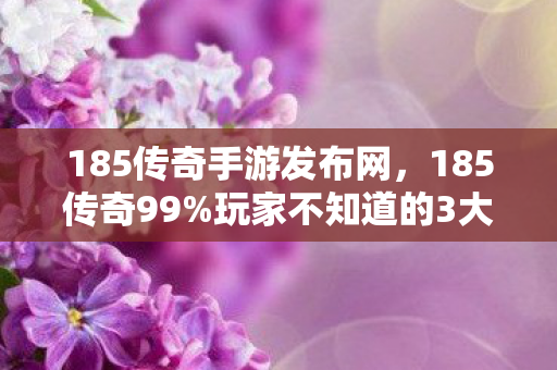 185传奇手游发布网,185传奇99%玩家不知道的3大隐藏机制!错过这波血亏十年体验! 185传奇手游发布网,185传奇99%玩家不知道的3大隐藏机制!错过这波血亏十年体验!