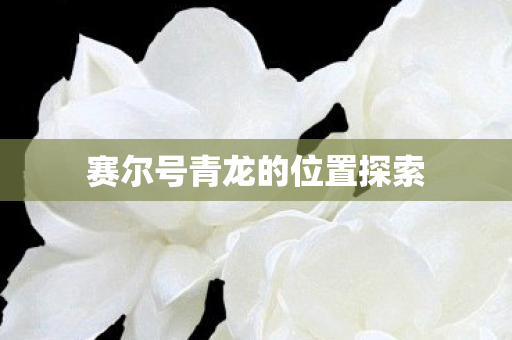 赛尔号青龙的位置探索 赛尔号青龙的位置探索