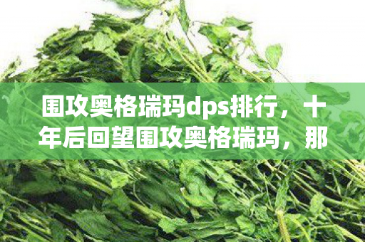 围攻奥格瑞玛dps排行,十年后回望围攻奥格瑞玛,那夜狂欢,竟藏着游戏圈最残酷的真相 围攻奥格瑞玛dps排行,十年后回望围攻奥格瑞玛,那夜狂欢,竟藏着游戏圈最残酷的真相