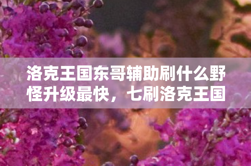 洛克王国东哥辅助刷什么野怪升级最快,七刷洛克王国东哥竟藏蹊跷,真相揭晓后背发凉! 洛克王国东哥辅助刷什么野怪升级最快,七刷洛克王国东哥竟藏蹊跷,真相揭晓后背发凉!