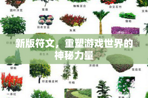 新版符文,重塑游戏世界的神秘力量 新版符文,重塑游戏世界的神秘力量