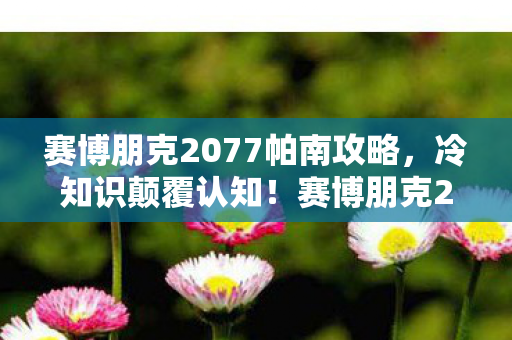 赛博朋克2077帕南攻略,冷知识颠覆认知!赛博朋克2077帕南剧情竟藏目瞪口呆的未引爆炸弹 赛博朋克2077帕南攻略,冷知识颠覆认知!赛博朋克2077帕南剧情竟藏目瞪口呆的未引爆炸弹