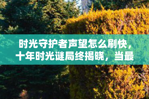 时光守护者声望怎么刷快,十年时光谜局终揭晓,当最后一位守护者倒下时,全球玩家集体泪目 时光守护者声望怎么刷快,十年时光谜局终揭晓,当最后一位守护者倒下时,全球玩家集体泪目