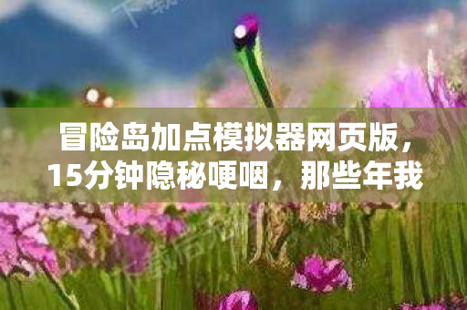 冒险岛加点模拟器网页版,15分钟隐秘哽咽,那些年我们藏在模拟器里的青春 冒险岛加点模拟器网页版,15分钟隐秘哽咽,那些年我们藏在模拟器里的青春