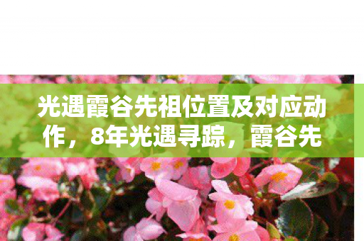 光遇霞谷先祖位置及对应动作，8年光遇寻踪，霞谷先祖谜位，泪目竟藏于此！