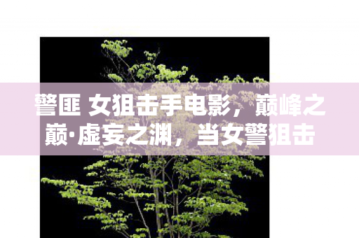 警匪 女狙击手电影,巅峰之巅·虚妄之渊,当女警狙击的王者勋章锈蚀成现实枷锁 警匪 女狙击手电影,巅峰之巅·虚妄之渊,当女警狙击的王者勋章锈蚀成现实枷锁