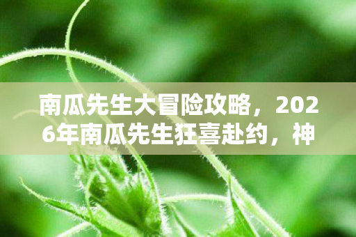 南瓜先生大冒险攻略,2026年南瓜先生狂喜赴约,神秘冒险背后竟藏惊天反转? 南瓜先生大冒险攻略,2026年南瓜先生狂喜赴约,神秘冒险背后竟藏惊天反转?