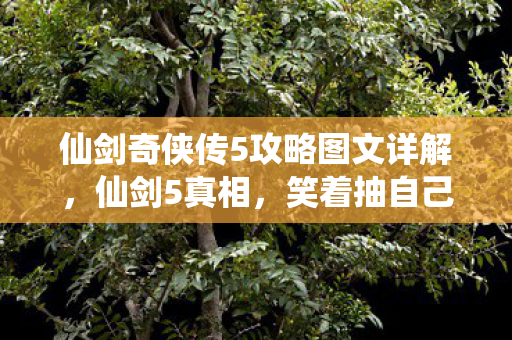 仙剑奇侠传5攻略图文详解,仙剑5真相,笑着抽自己耳光说退坑,落差后哭着发现戒不掉的竟是…… 仙剑奇侠传5攻略图文详解,仙剑5真相,笑着抽自己耳光说退坑,落差后哭着发现戒不掉的竟是……