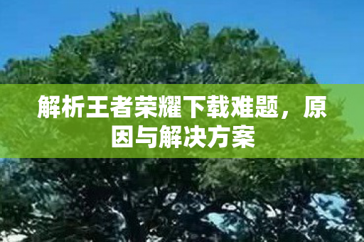 解析王者荣耀下载难题,原因与解决方案 解析王者荣耀下载难题,原因与解决方案