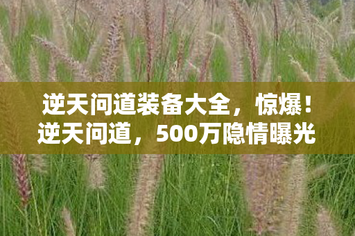 逆天问道装备大全,惊爆!逆天问道,500万隐情曝光,离职老兵拍桌怒吼吓一跳! 逆天问道装备大全,惊爆!逆天问道,500万隐情曝光,离职老兵拍桌怒吼吓一跳!