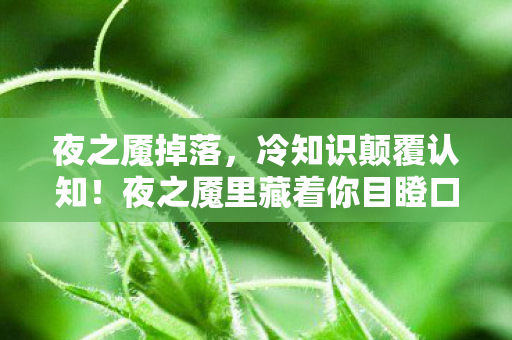 夜之魇掉落,冷知识颠覆认知!夜之魇里藏着你目瞪口呆的隐藏设计密码 夜之魇掉落,冷知识颠覆认知!夜之魇里藏着你目瞪口呆的隐藏设计密码