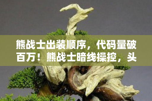 熊战士出装顺序,代码量破百万!熊战士暗线操控,头皮发麻的帮派风云 熊战士出装顺序,代码量破百万!熊战士暗线操控,头皮发麻的帮派风云