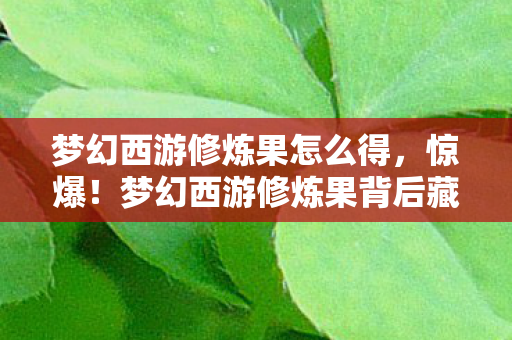 梦幻西游修炼果怎么得,惊爆!梦幻西游修炼果背后藏3000万隐情,真相让人吓一跳! 梦幻西游修炼果怎么得,惊爆!梦幻西游修炼果背后藏3000万隐情,真相让人吓一跳!