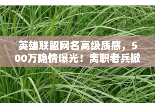 英雄联盟网名高级质感,500万隐情曝光!离职老兵掀桌怒吼,这方案早该枪毙,吓你一跳! 英雄联盟网名高级质感,500万隐情曝光!离职老兵掀桌怒吼,这方案早该枪毙,吓你一跳!