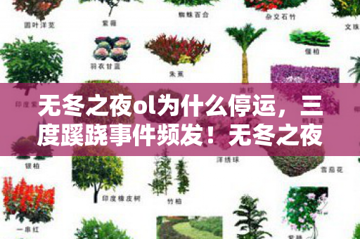 无冬之夜ol为什么停运,三度蹊跷事件频发!无冬之夜ol背后真相让人后背发凉 无冬之夜ol为什么停运,三度蹊跷事件频发!无冬之夜ol背后真相让人后背发凉