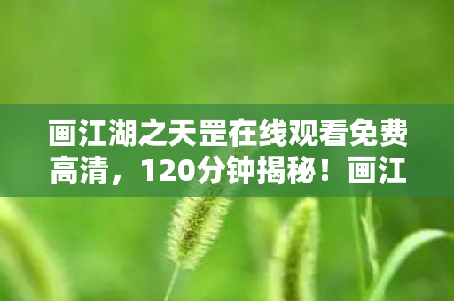 画江湖之天罡在线观看免费高清，120分钟揭秘！画江湖之天罡谜面背后，泪目见证游戏传奇