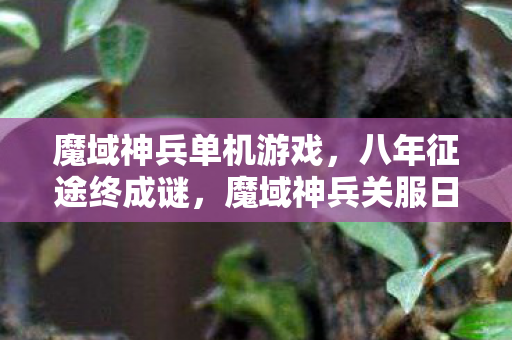 魔域神兵单机游戏,八年征途终成谜,魔域神兵关服日泪目谢幕 魔域神兵单机游戏,八年征途终成谜,魔域神兵关服日泪目谢幕
