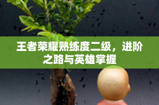 王者荣耀熟练度二级,进阶之路与英雄掌握 王者荣耀熟练度二级,进阶之路与英雄掌握